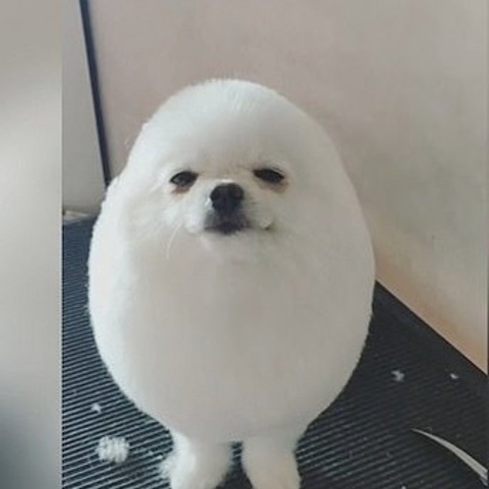 Meet your Posher, Valerie